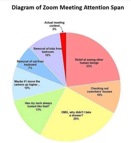 Zoom Meeting Attention Span Diagram